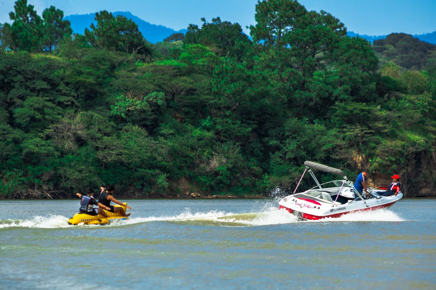 Banana en la presa